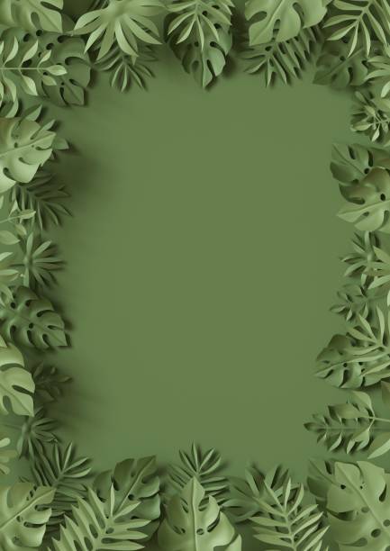istock 3d render, tropical paper leaves, green scene background, jungle, frame 812453468