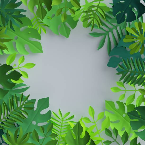 istock 3d render, tropical paper leaves, green scene background, jungle, frame 812454334