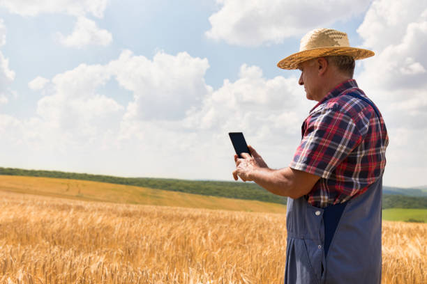 istock Farmer on a field with phone 812460446