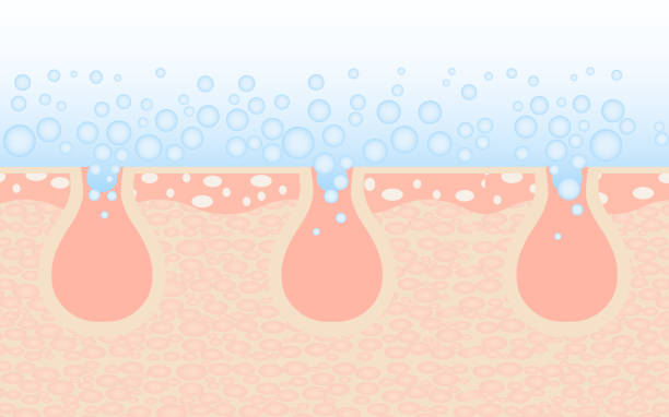 Deep unclog pores skin care. Skin cleaning. unclog pores,skin care epidermal cell stock illustrations