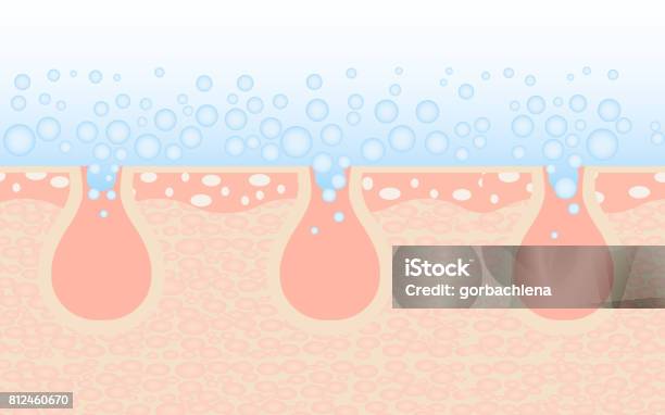 Deep Unclog Pores Skin Care Skin Cleaning Stock Illustration - Download Image Now - Skin, Water, Pore