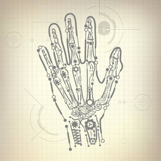 skull concept of buleprint of A.I. invention, robot hand and bone diagram human brain parts and functions diagram backgrounds stock illustrations
