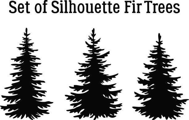 illustrations, cliparts, dessins animés et icônes de sapin de noël arbres silhouettes - sapin noir et blanc