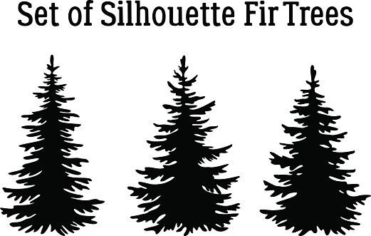 Fir Trees, Christmas Holiday Decoration, Black Silhouettes Isolated on White Background. Vector