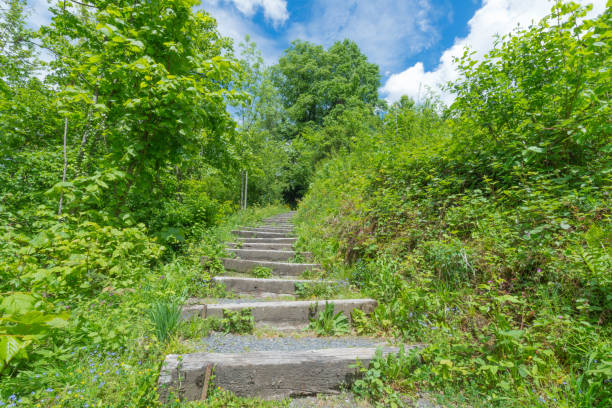 istock Tourist route in the mountains. Switzerland. 812488098