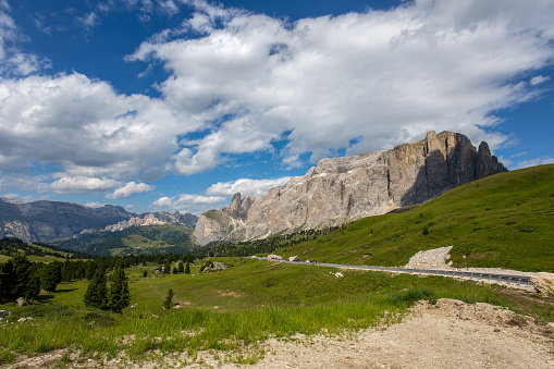 The Sella group near the Passo Sella in Val Gardena with flowering meadows and mountain hiking trails/ Dolomites/ Italy/ mountains/