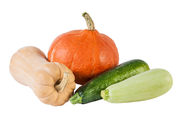 Pumpkin, marrow and zucchini isolated on white background