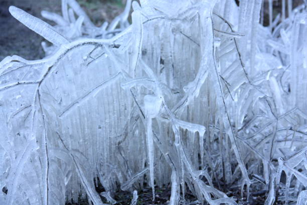 istock A frozen roadside, trees turned to ice by splashed melt water. 812504310