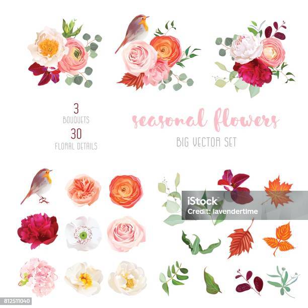 Mix Of Seasonal Plants Anf Flowers Big Vector Collection Stock Illustration - Download Image Now