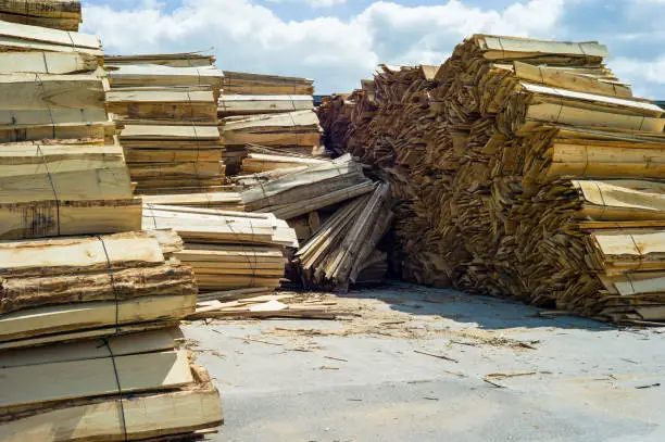 Photo of Piles of rough timber boards stacked on the ground.