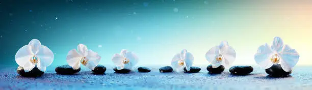 Spa Background With Droplet OnOrchids Flowers And Black Stones