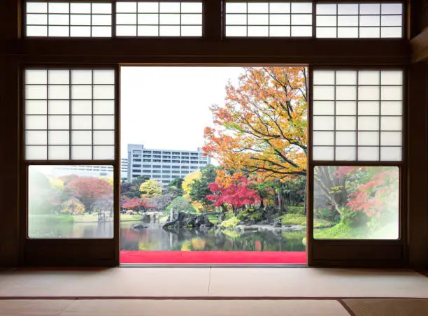 Photo of Traditional Japanese  indoor  house and paper sliding doors and tatami mat open to View of a beautiful autumn color of Japan  fall  maple leaves in graden and cityscape background. tokyo, Japan