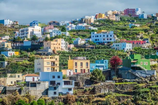 neighborhood with plane-trees in Canary Islands