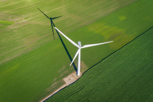 istock Wind turbine and countryside corn field. Top view 812587520