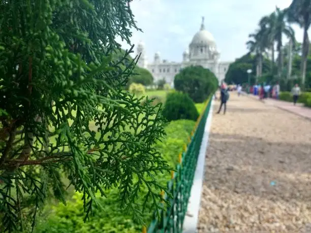 This photo is a blurred view of Victoria Memorial, Kolkata(Landscape Mode)