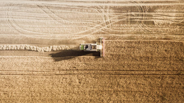 istock Harvester working in field and mows wheat. Ukraine. Aerial view. 812606004