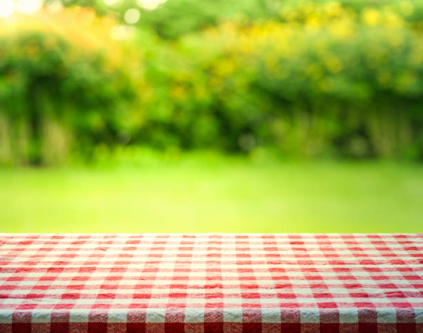 istock Red checkered tablecloth on abstract green garden morning background. 812609886