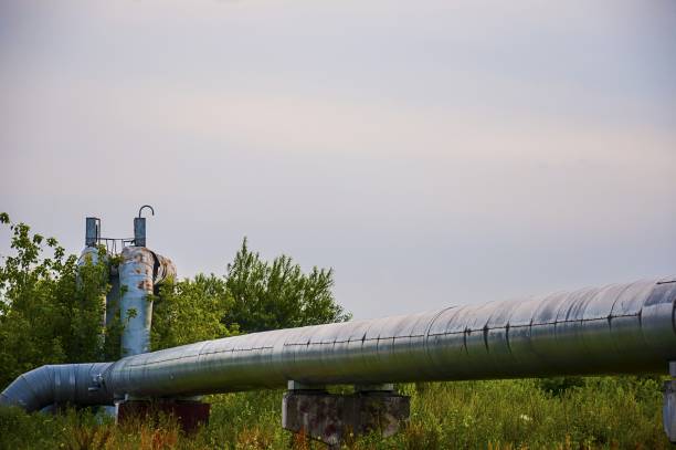 istock steel gas pipe running through green fields 812612852