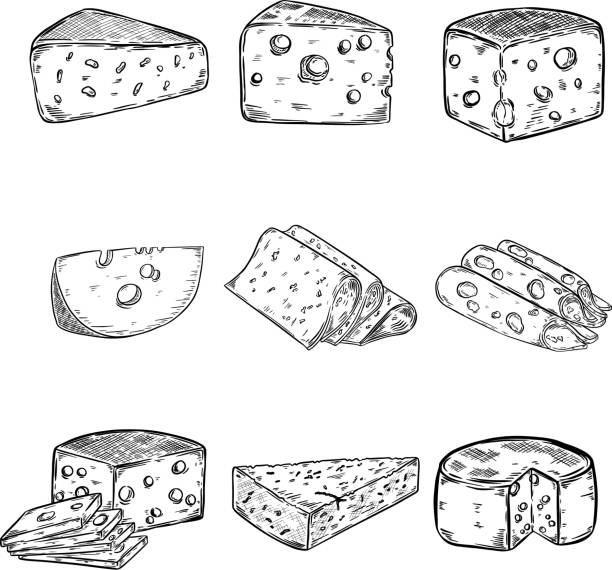 Set of Cheese illustrations isolated on white background. Design elements for poster, menu. Vector illustration Set of Cheese illustrations isolated on white background. Design elements for poster, menu. Vector illustration swiss cheese slice stock illustrations