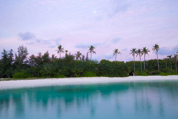 istock tropical beach in Maldives 812639132