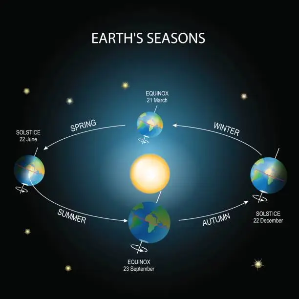 Vector illustration of Earth's season.