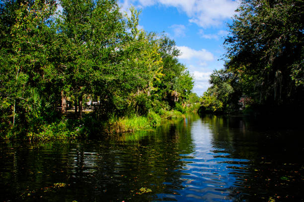 istock Waterway to Homosassa Springs 812649848