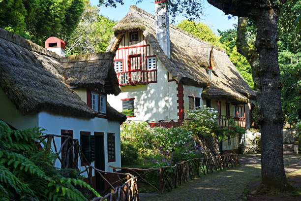 istock Houses in Madeira island. 812650490