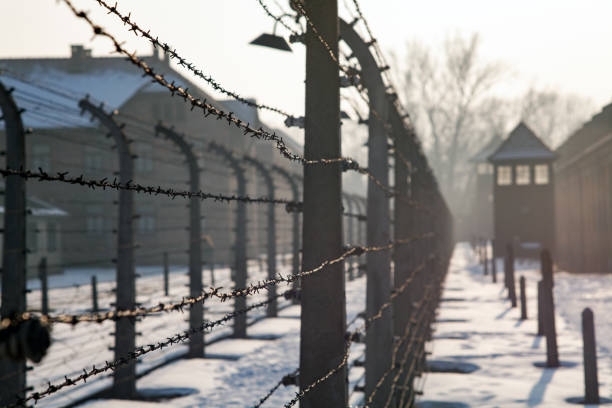 Museum Auschwitz - Holocaust Memorial Museum. Barbed wire around a concentration camp. Shed guard in the background.