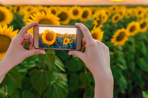 istock That's a view you just have to capture! 812675078