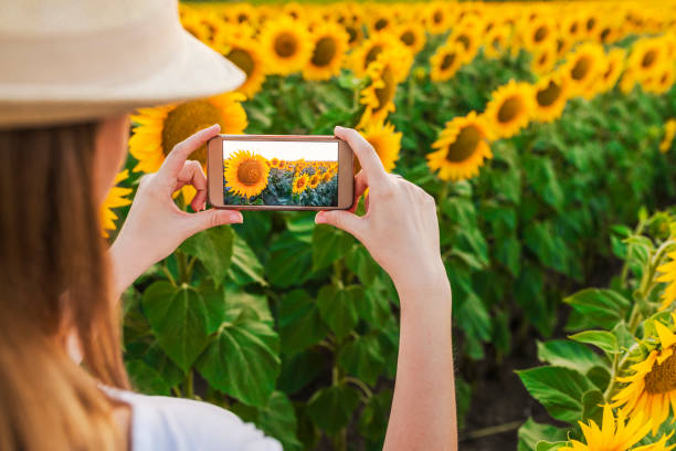 istock Capture the beauty mother nature has to offer 812675100
