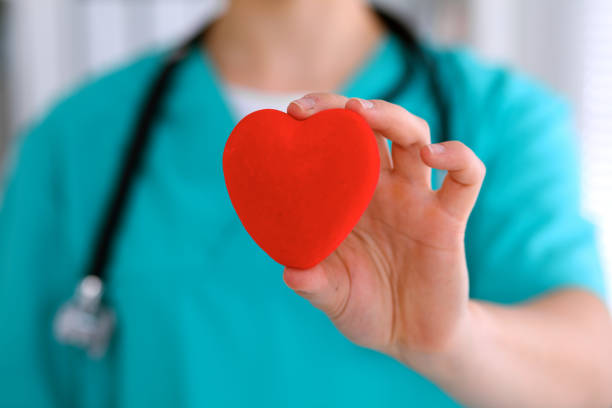 istock Female surgeon doctor with stethoscope holding heart. 812686630