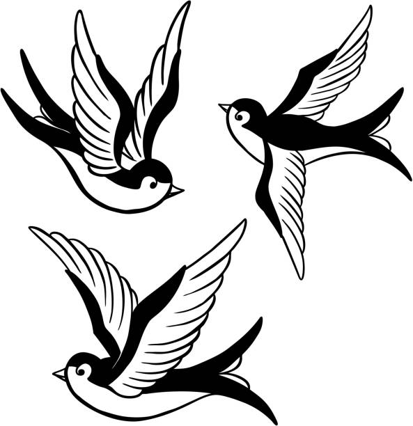 Set of swallow tattoo templates isolated on white background. Bird icons. Vector illustration. Set of swallow tattoo templates isolated on white background. Bird icons. Vector illustration. swallow bird stock illustrations