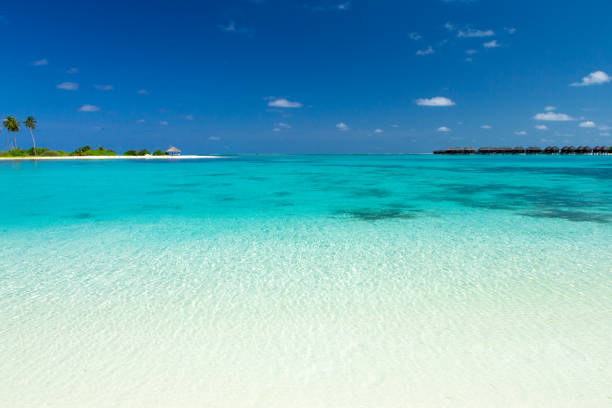 istock tropical beach in Maldives 812710090