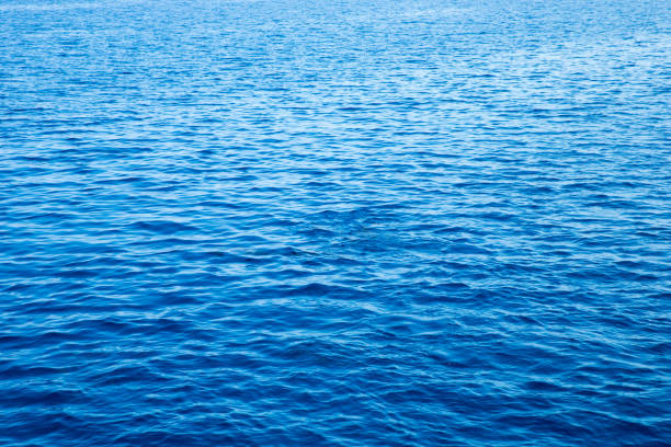 istock sea beach in Maldives 812710126