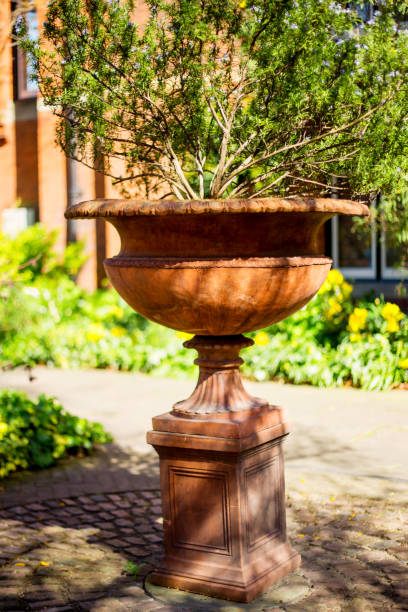 istock Beautiful garden planter 812710572
