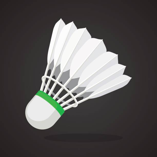 Shuttlecock for badminton from bird feathers Vector illustration in flat style. Shuttlecock for badminton from bird feathers. Sports equipment. Decoration for greeting cards, prints for clothes, posters, wallpapers badminton stock illustrations