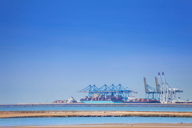 istock Containership and portal cranes at Le Havre dock 812713764