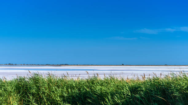 Aigues-Mortes, salt flats