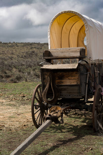 Western covered chuckwagon for cooking food on the trail Western covered chuck wagon for cooking food on the trail drives chuck wagon stock pictures, royalty-free photos & images