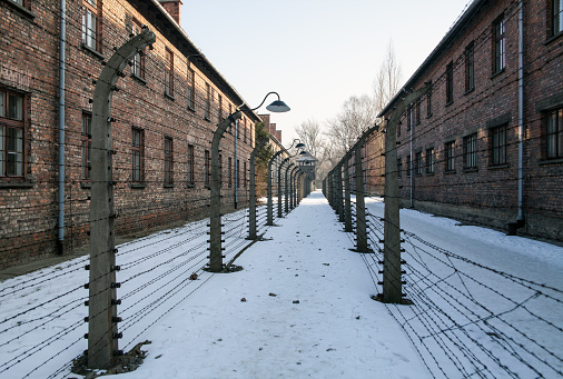 Prison exercise yard between the barbed wire. Museum Auschwitz - Birkenau, holocaust Memorial Museum. Barbed wire around a concentration camp.