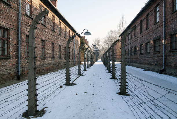 prison exercise yard between the barbed wire. museum auschwitz - birkenau, holocaust memorial museum. barbed wire around a concentration camp. - arbeit imagens e fotografias de stock