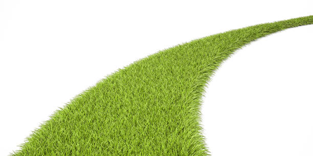istock Green Grassy Way, 3D rendering isolated on white background 812754566