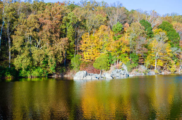 istock Reflection of trees during autumn on river in Great Falls, Virginia 812760244