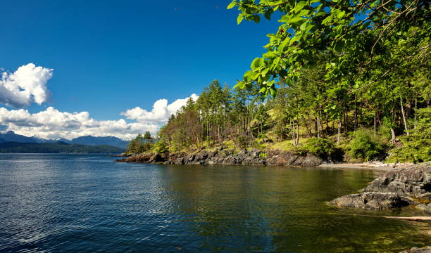 istock Shore of the northern sea 812765152