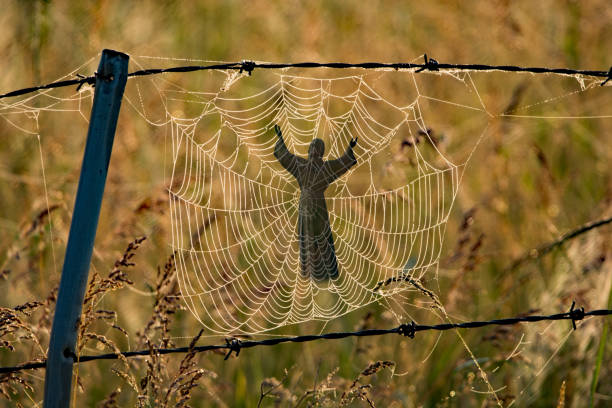 Old spider web with woman caught in it