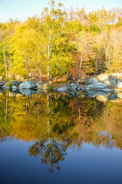 istock Reflection of trees during autumn on river in Great Falls, Virginia 812773572