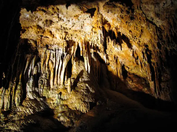 Photo of Luray caverns in Virginia closeup of wet rocks in cave, with stalactites, stalagmites, and other formations