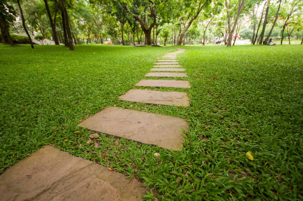 istock Walk way in the garden. 812776528