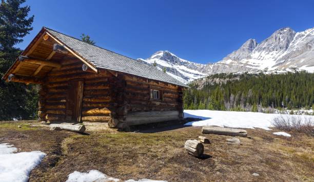 istock Rustic Log Cabin in Canadian Rockies 812782526