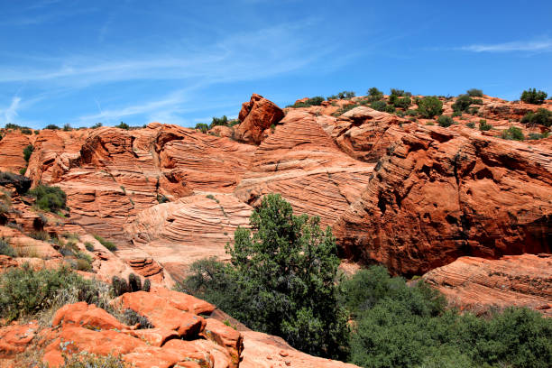 Red rock desert landscape of Southern Utah Red rock desert landscape of Snow Canyon State Park in Southern Utah snow canyon state park stock pictures, royalty-free photos & images